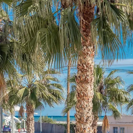 Apartment Penthouse Melva *